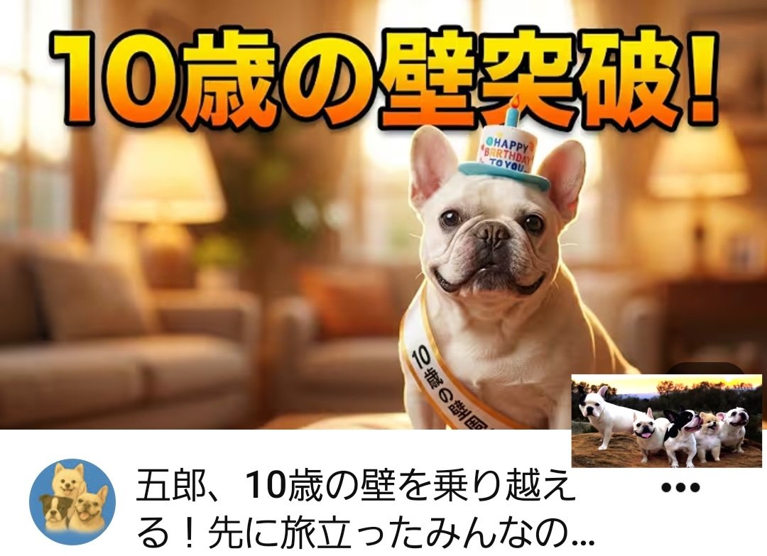 hanahana111111's tweet photo. YouTube更新しました
最新の動画はコチラです
⬇️
五郎、10歳の壁を乗り越える!先に旅立ったみんなの想いと一緒に▶️https://t.co/6Ekirn2uJu #いいね #RT #ありがとうございます #ご視聴ありがとうございます #感謝 #frenchbulldogs #frenchbulldog #dog #可愛い #cute #犬のいる暮らし https://t.co/yASjFVhfxX
