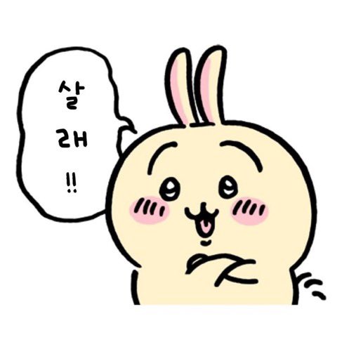 oeseaii's tweet photo. 위시리스트 ₍ᐢ. ̫.ᐢ₎♡ https://t.co/bWa8VjUsAy