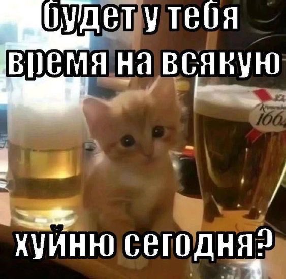 Kilso1kg's tweet photo. Почему по выходным я ощущаю себя как овощ (ментально и физически) https://t.co/aHVNAUIZ30
