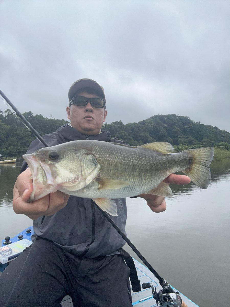 phvmyv's tweet photo. 昨日の三島湖
三島湖生活1日目
昨日は台風前でそんなに雨もなく釣りやすい天候でした。朝イチ豊英筋でスピナベでポロポロ釣れてからフラットでキャロサイズはそこそこで15本楽しめた1日目🐟
#三島湖
#ともゑボート
#房総リザーバー https://t.co/pp14ddltfI
