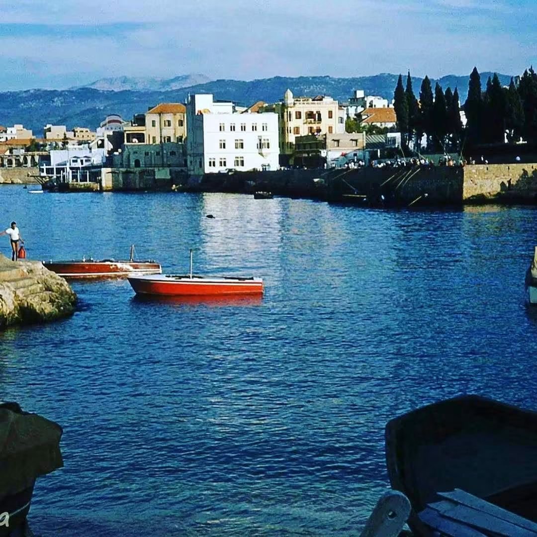ImadSalamoun tweet picture