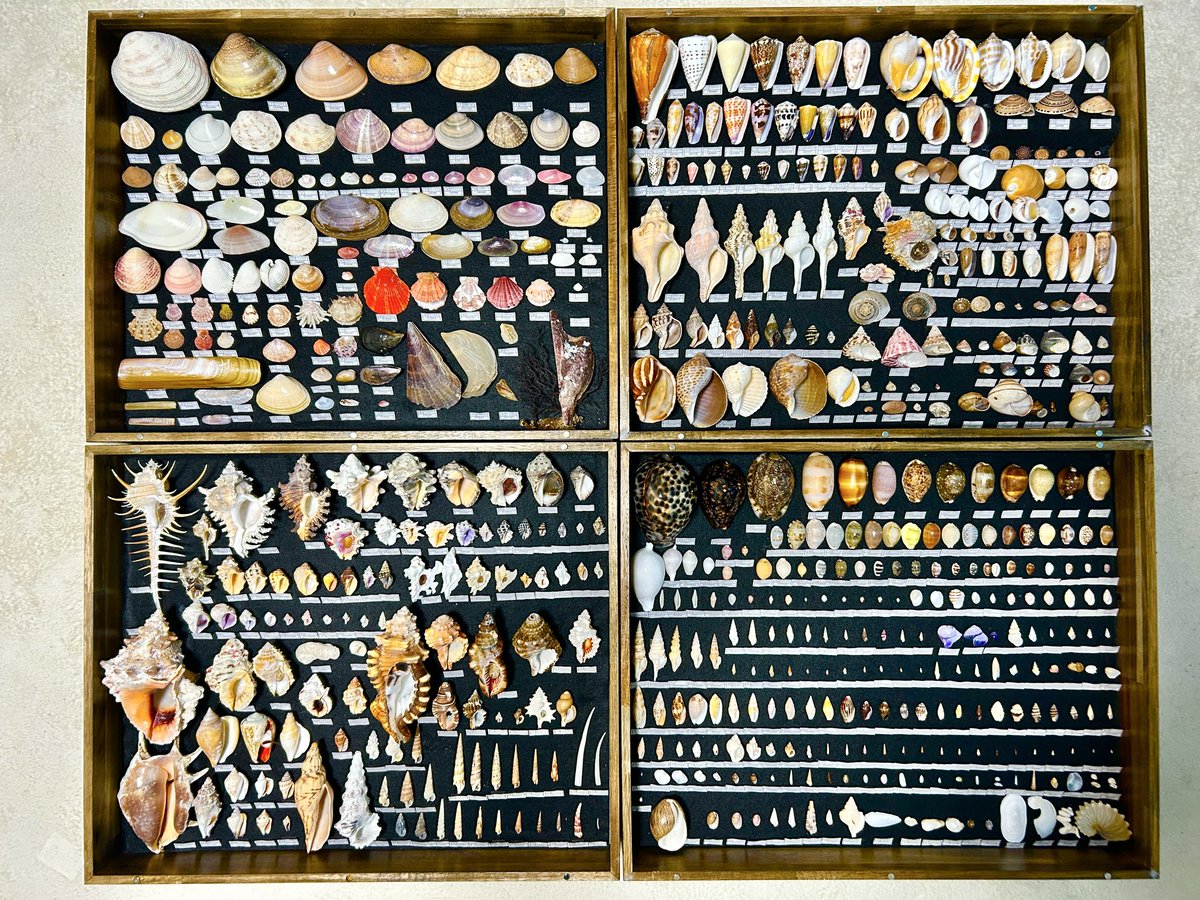 KkzzH59914's tweet photo. 親子で頑張りました！
県理科展は初挑戦でしたが、自分達もビックリ、知事賞頂きました。 https://t.co/qoBQDB3wHG