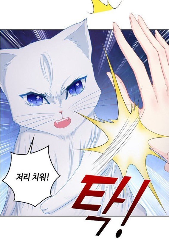 0702X0319's tweet photo. 시발 이거? https://t.co/IU5MC8ru7z