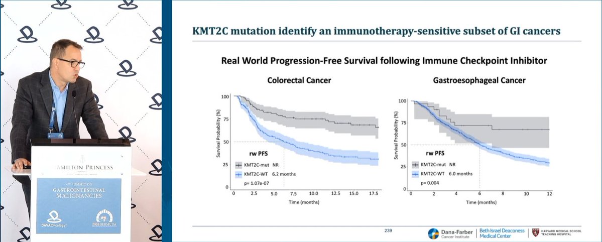 DAVAOnc's tweet photo. At #DAVAGI, Dr. @BrunoBockorny @BIDMChealth presents KMT2C as a biomarker of increased sensitivity to platinum and immunotherapy. KMT2C defines an HRD-enriched population, while KMT2C-mutant GI cancers are enriched for MSI-H/TMB-high and showed prolonged PFS with immunotherapy; improved OS/PFS was seen with platinum.