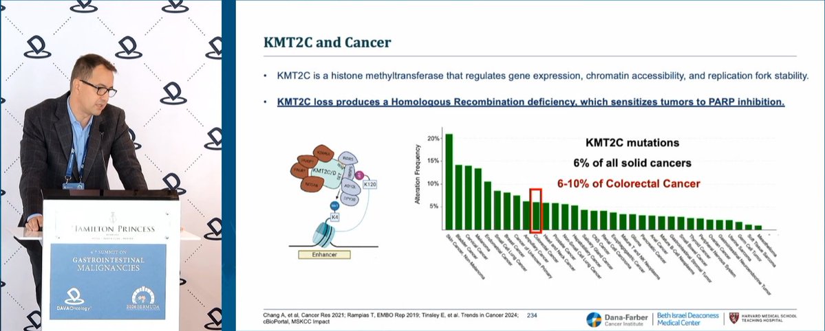 DAVAOnc's tweet photo. At #DAVAGI, Dr. @BrunoBockorny @BIDMChealth presents KMT2C as a biomarker of increased sensitivity to platinum and immunotherapy. KMT2C defines an HRD-enriched population, while KMT2C-mutant GI cancers are enriched for MSI-H/TMB-high and showed prolonged PFS with immunotherapy; improved OS/PFS was seen with platinum.