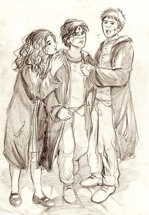knightsofhjp's tweet photo. the golden trio being the only three gryffindors to advance to NEWT-level potions is so important to me https://t.co/61P5WfH9ZL