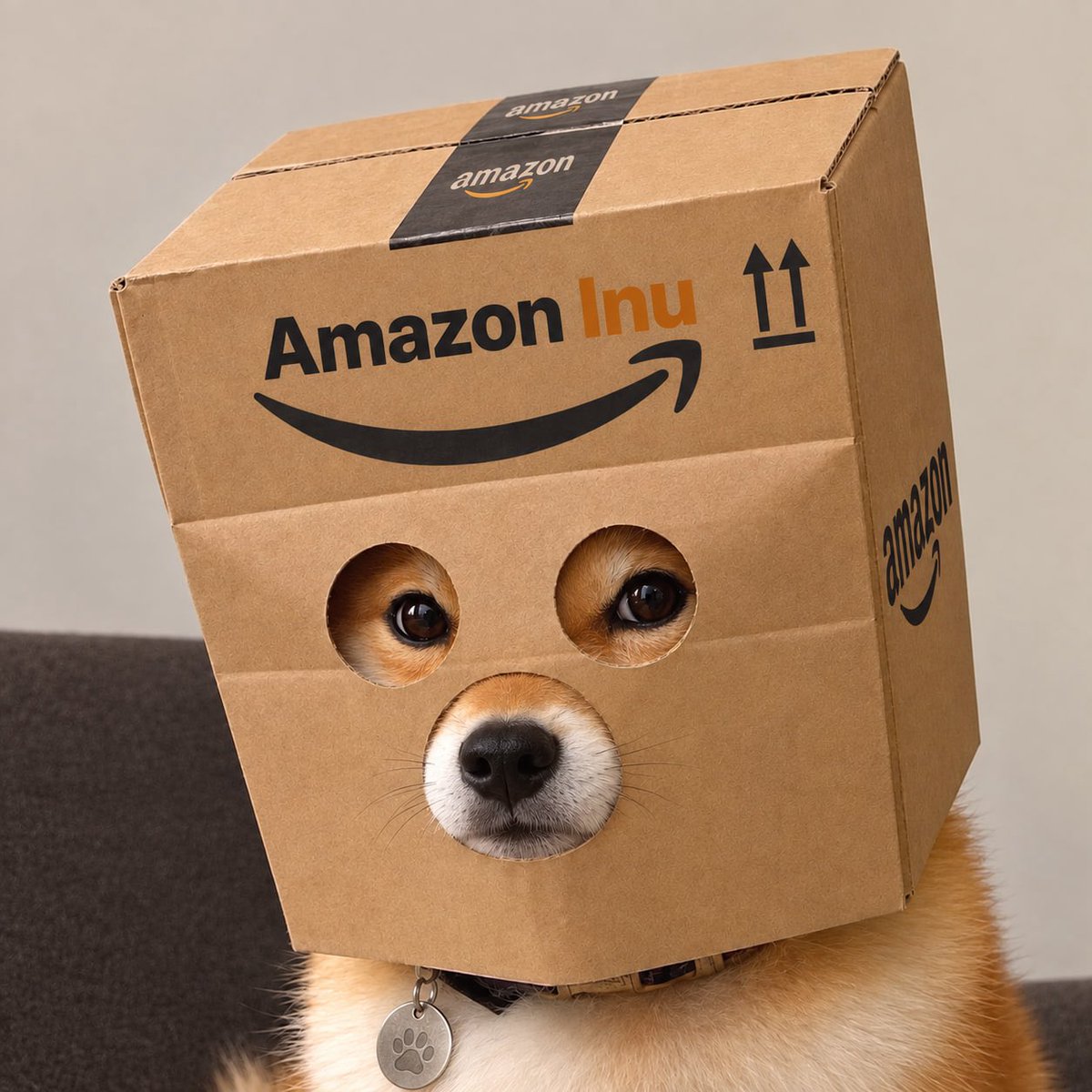amzninu's tweet photo. Send some dog food for $AI https://t.co/RKY4Kf2ibn