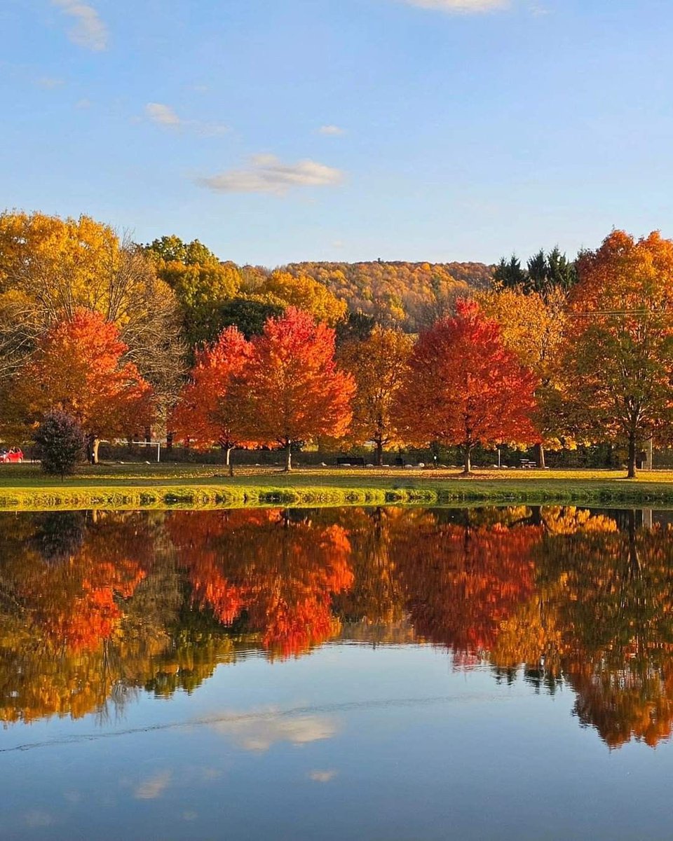 thespookygirll's tweet photo. fall vibes 🍁🍂🤎 https://t.co/icOiQJnydD