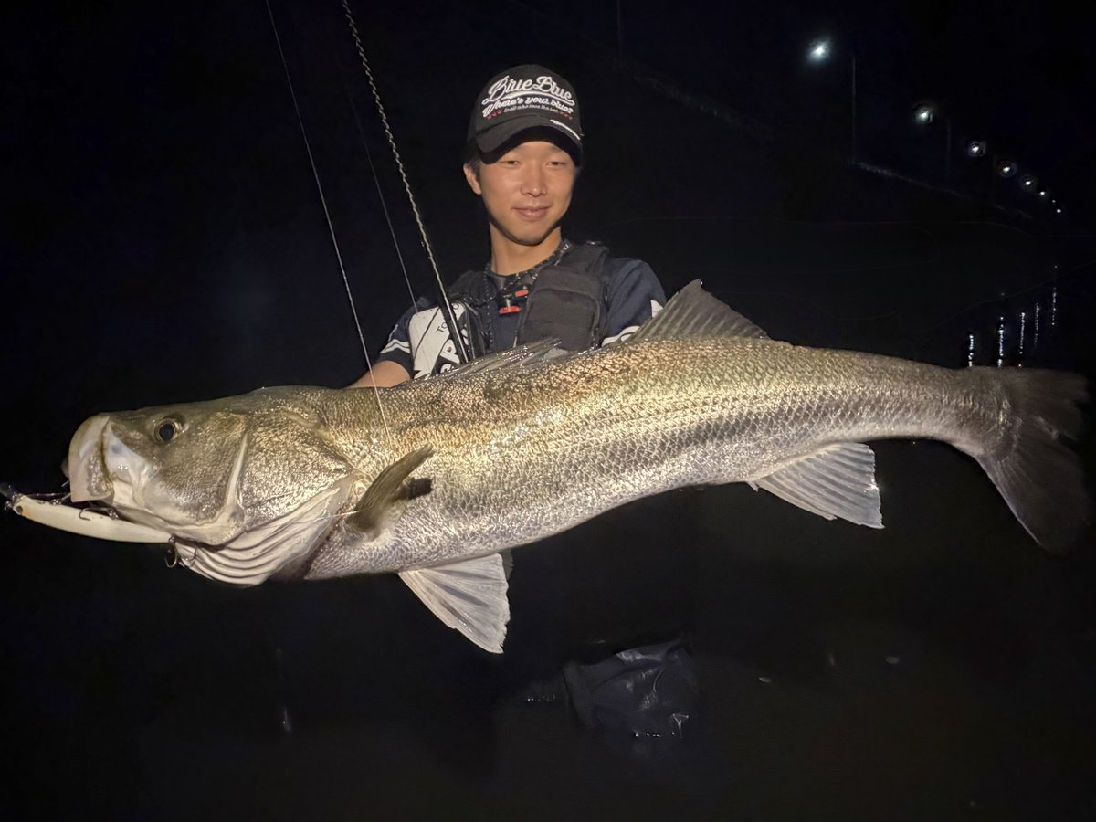 sho_angler_'s tweet photo. 久しぶりの明暗❗️

表層に出ない時は、
一気にレンジを入れてみる👍

タイミングさえ合わせれば、
だいたい口開けて待ってます😋

#有明海 
#ランカーシーバス
#ブローウィン110s https://t.co/x9g9zd44qv