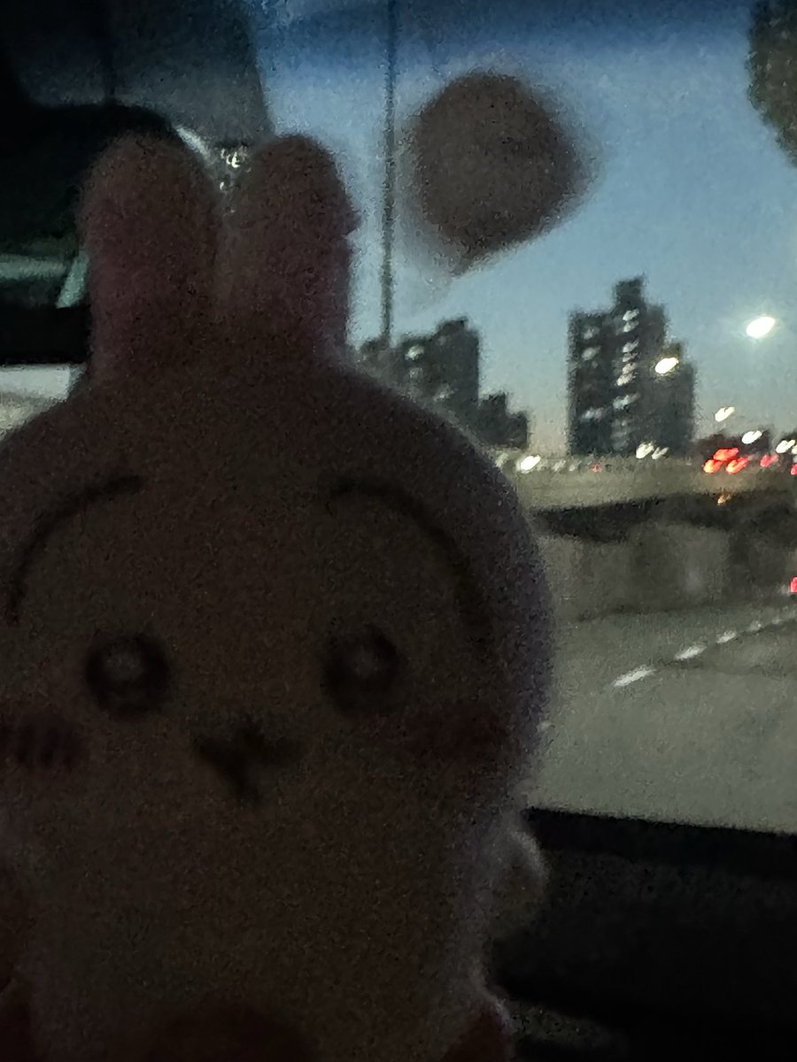 oohrayaha's tweet photo. 나 극장판볼때 엄청 꾸며야겠다...
비록 아무도 못 만나겠지만 
그래도 뭔가 우사기팬이 멋져보이면 좋겠어..!! https://t.co/b2l8UtnVYc