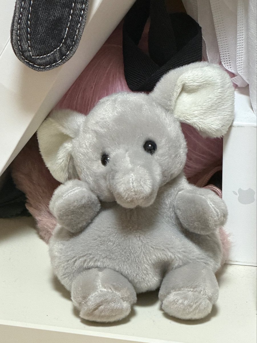 reukk_e's tweet photo. 언니 없는 언니 방에서
동생이랑 스윗미.하는데
어떤 코끼리가 나를 이러고 바라봄…ㅠ https://t.co/VpqJngFwEX