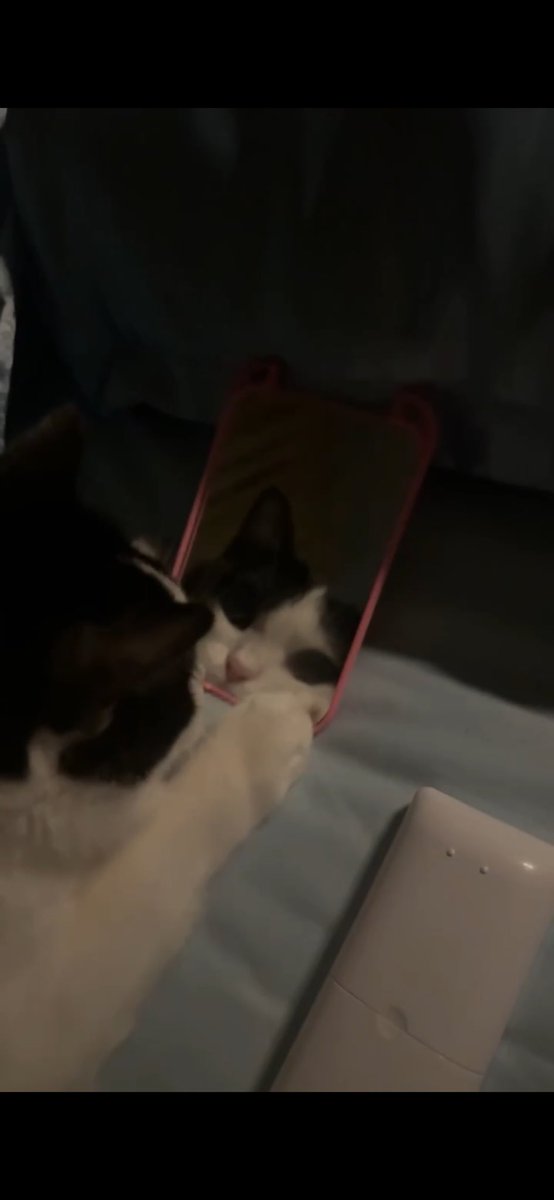 MawMaow10's tweet photo. https://t.co/uQhMibYcJT