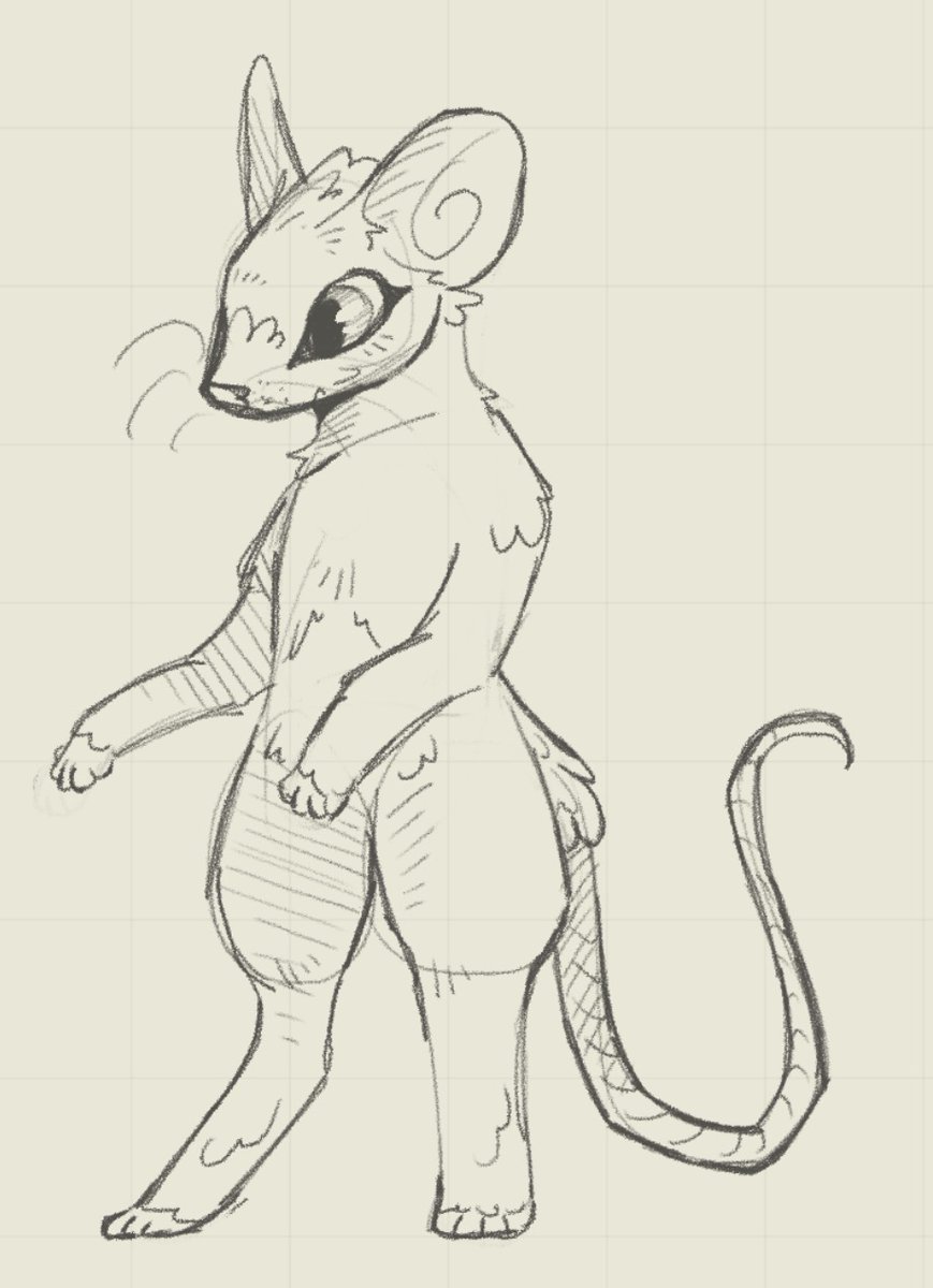 pyrrhura_viridi's tweet photo. actual DISGUSTING anthro mouse doodle ..  #furryartㅤㅤㅤ #furry #procreate https://t.co/2oJsscCpaN