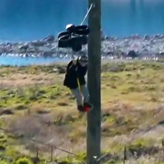 ttetelov's tweet photo. get down from there …. https://t.co/UCrs3uuz3Y
