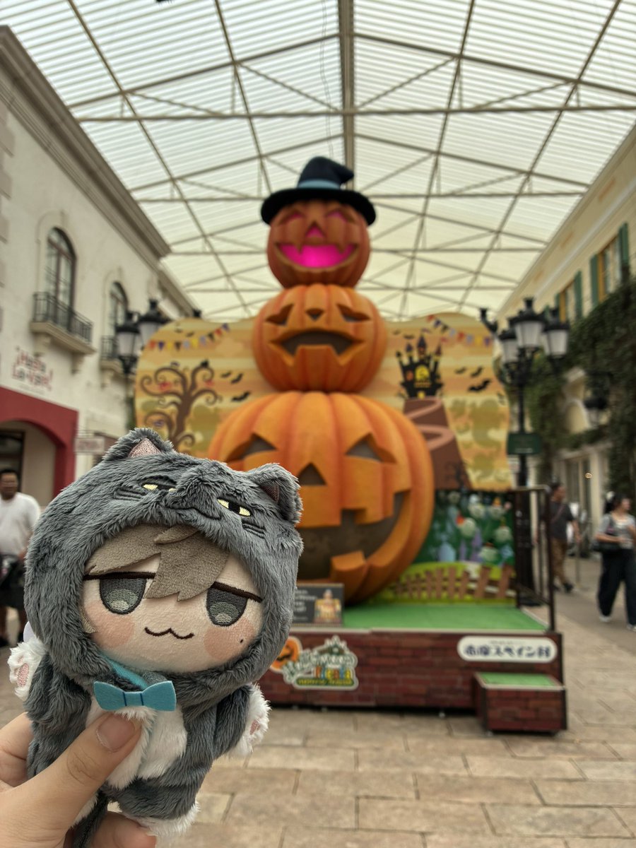 Naaaaakoch's tweet photo. 沢山ぬい活してきた🫶🏻️︎💕 https://t.co/a5eBt4ddfM