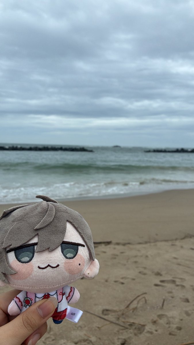 Naaaaakoch's tweet photo. 沢山ぬい活してきた🫶🏻️︎💕 https://t.co/a5eBt4ddfM