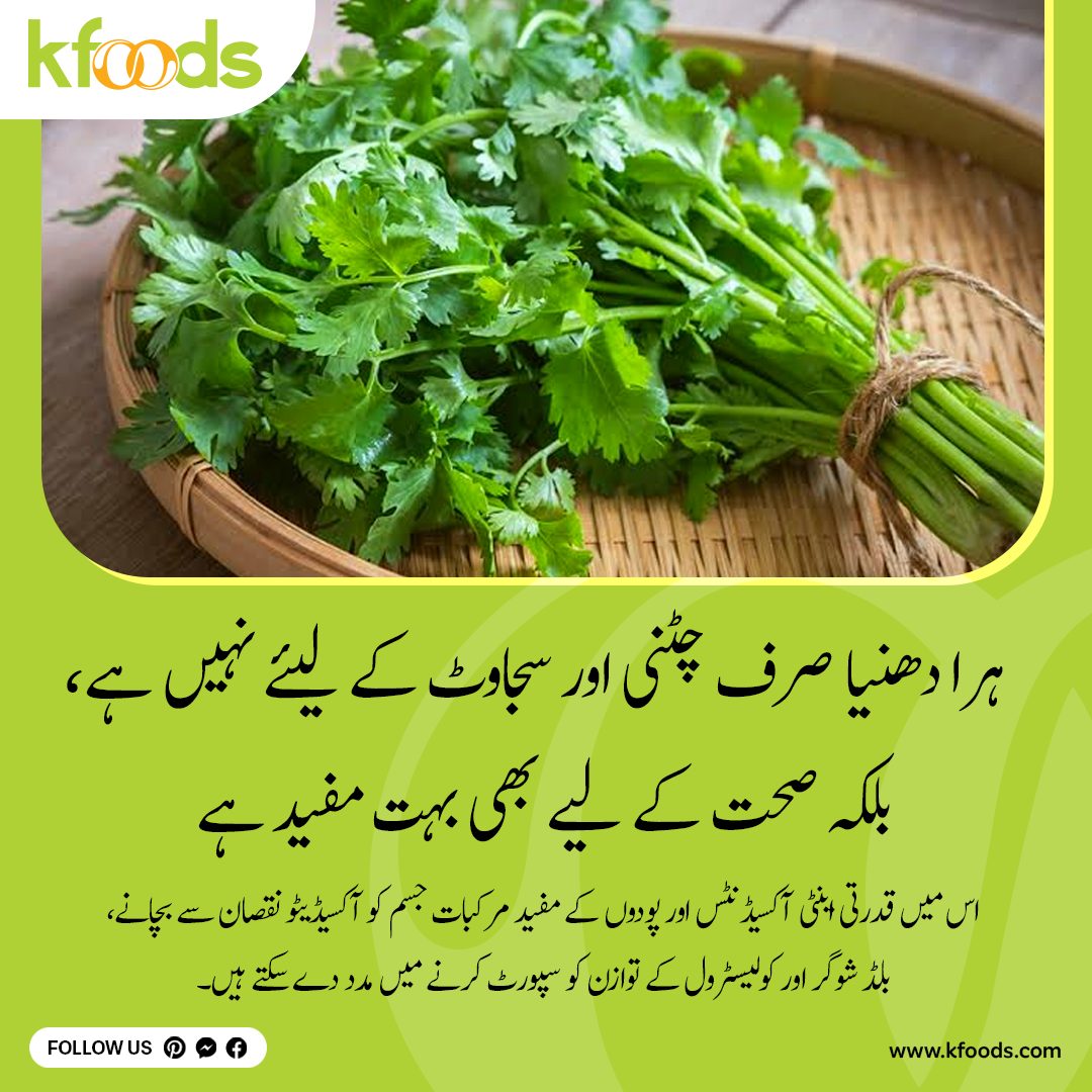 MiriamLangsr's tweet photo. Fresh cilantro is more than just a flavor enhancer. Its natural antioxidants and beneficial plant compounds may help protect the body from oxidative damage and support healthy blood sugar and cholesterol levels. Early research also suggests https://t.co/Itp0fEZb5P