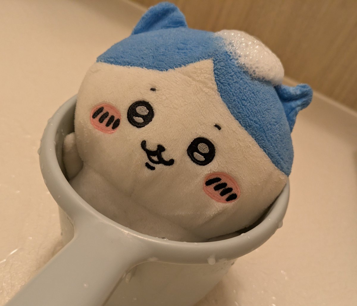 miorry_1qqq's tweet photo. これからするんだッ、入浴！ https://t.co/BQzjsdd1Fn