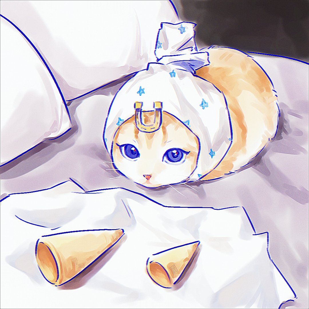 L7Mizuuu's tweet photo. 🐱 https://t.co/4aKmYluk2Q