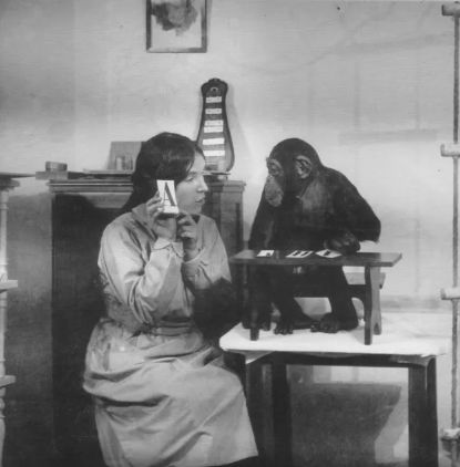 bitacorabeagle's tweet photo. Mientras el conductismo negaba la existencia de una mente animal compleja, Nadezhda Ladygina-Kohts, científica rusa, sentaba las bases de la primatología demostrando que los simios poseían pensamiento abstracto

Su trabajo se publicó en 1935; no fue traducido hasta 2002       1/4 https://t.co/A6f5uLud8z