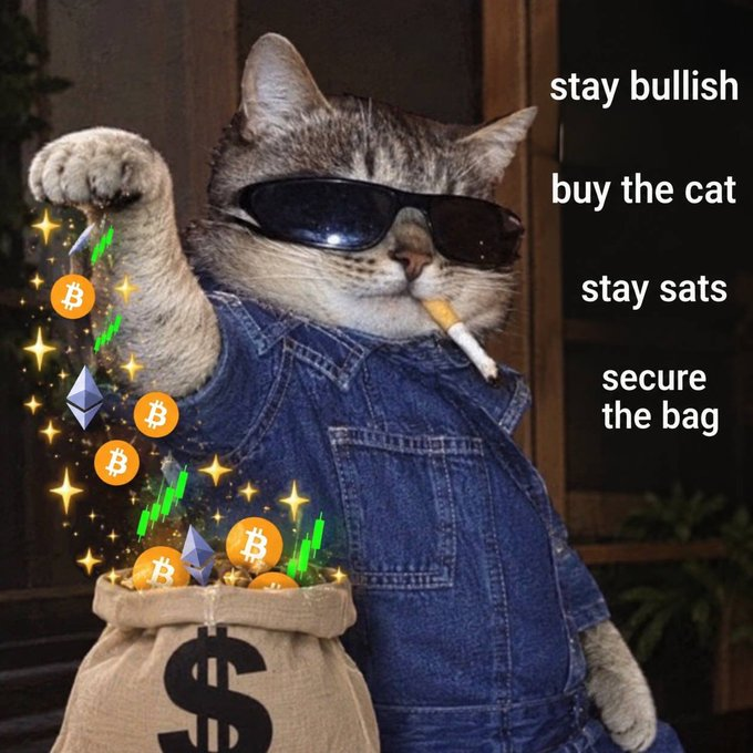 SatxBTC's tweet photo. Stay bullish
Buy the cat
Stay sats
Earn BTC https://t.co/VC6awsqZ28