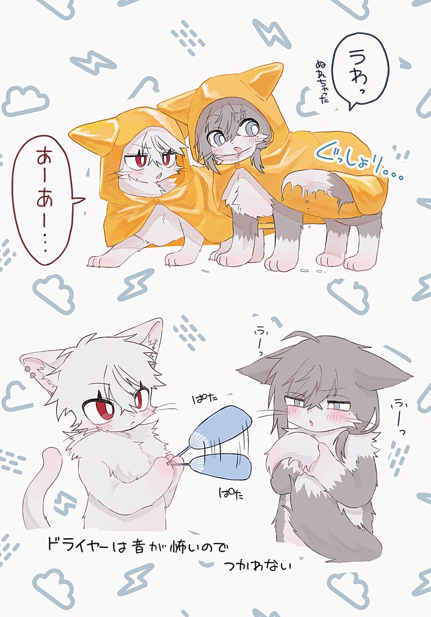 Gloria___0's tweet photo. びしょびしょ☔️ねこのわーる https://t.co/H8ZRkuTHwq