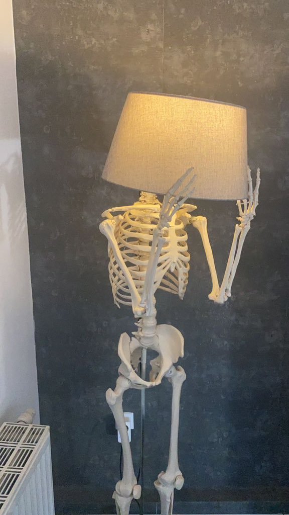 evergreenhues_'s tweet photo. Beautiful skelett lampe https://t.co/podGenMNni