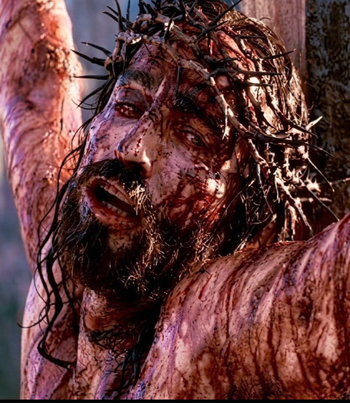 MelGibsonQ0's tweet photo. In Christ, you are a new creation. Your past does not have the final word. https://t.co/UMjFysK7sR