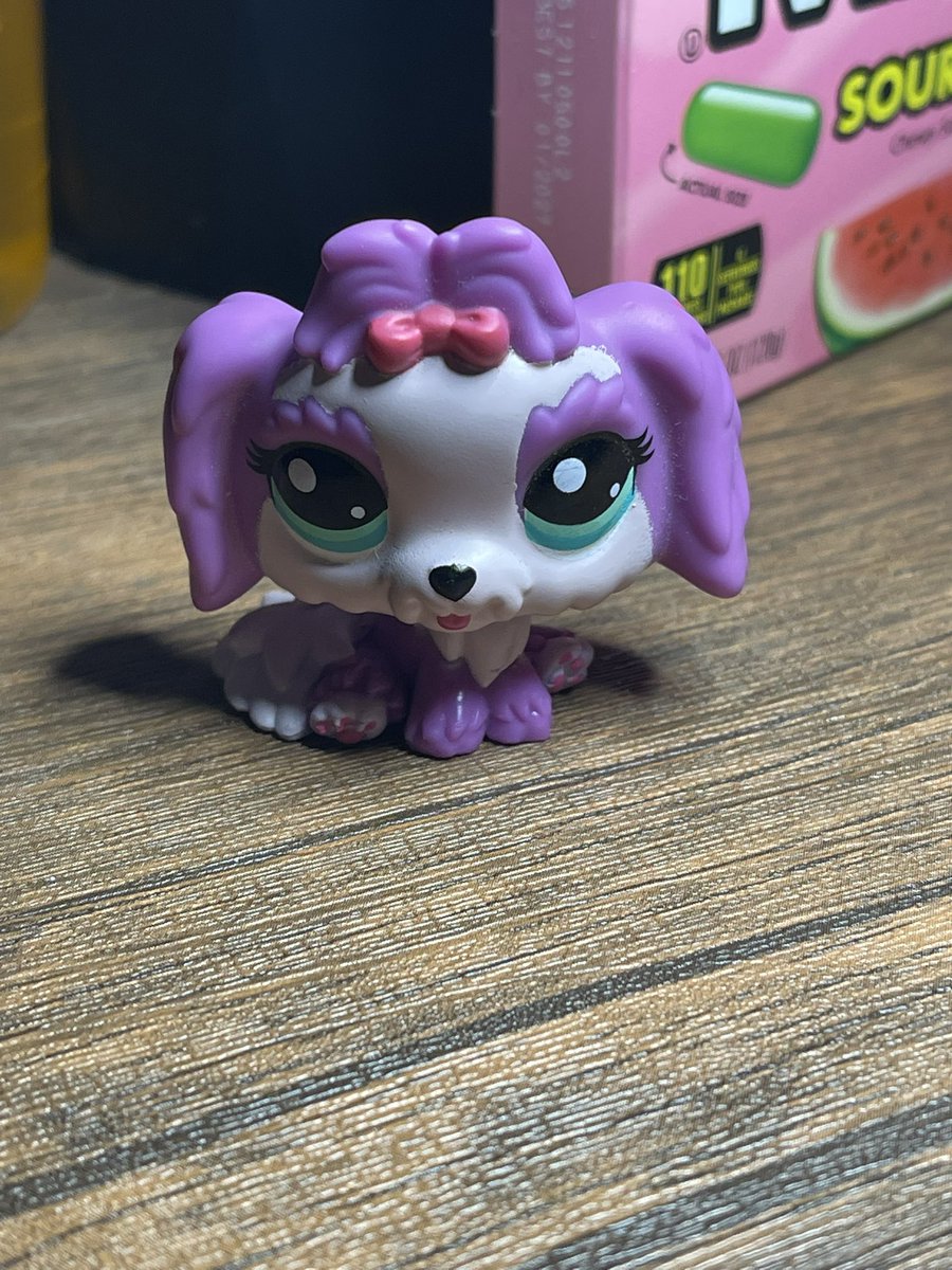 lpscrafts's tweet photo. good morning :3c today's lps is this cutie pie i very rarely take out for some reason >_< https://t.co/In5OAKmjvI