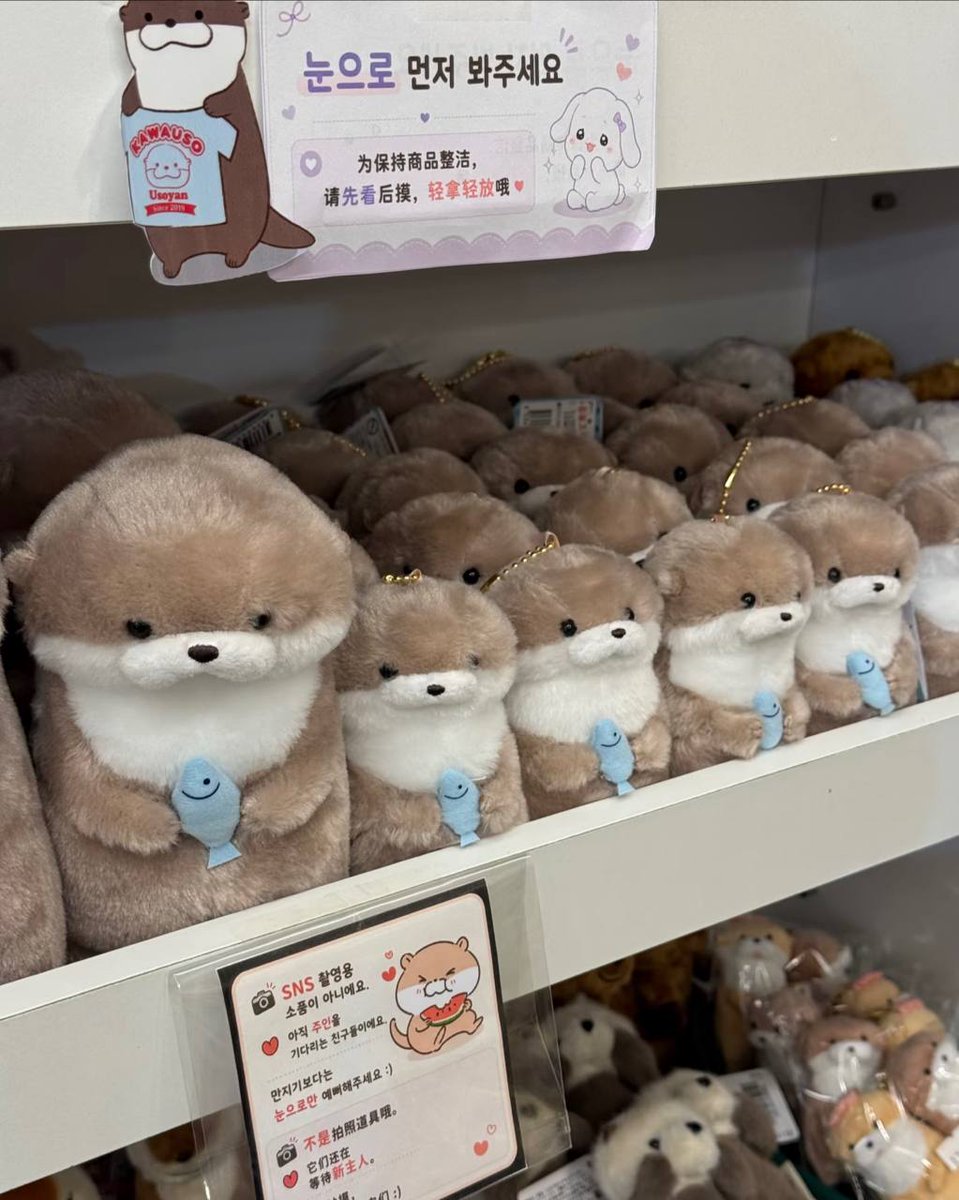 monotemi's tweet photo. GEMESSS BANGET.. JADI PENGEN IKUT JAGAIN IKAN NYA OTTER 😭🤚🐟 https://t.co/uAfu2iwoBE
