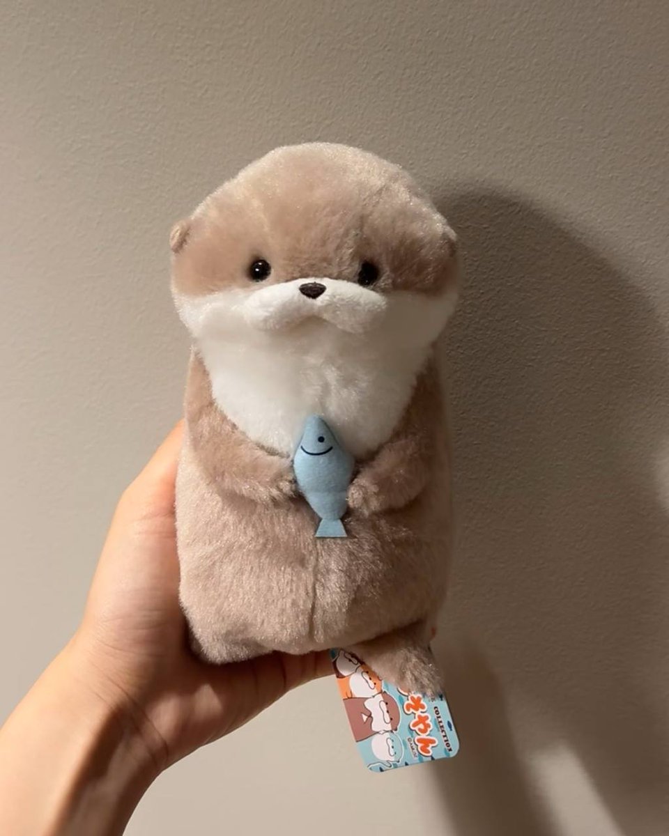 monotemi's tweet photo. GEMESSS BANGET.. JADI PENGEN IKUT JAGAIN IKAN NYA OTTER 😭🤚🐟 https://t.co/uAfu2iwoBE