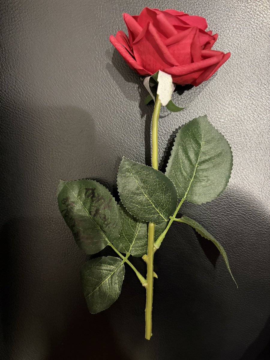 minphappha's tweet photo. 詩美選手から頂いたバラね、すんごく良い匂いするの！！！
しかもメッセージ入りです https://t.co/LqXAdMDsdX