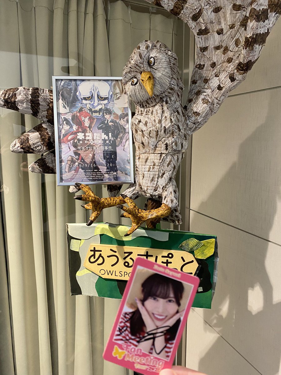 ikrszm's tweet photo. ねこたんに来ました!!!! https://t.co/69ptFu8aKT