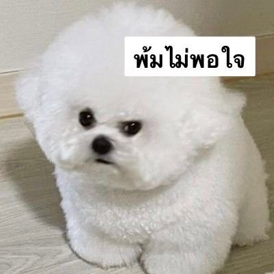 meowmojii's tweet photo. @Bossptk @txngtxngts ชิ! https://t.co/mymaRpwq8h