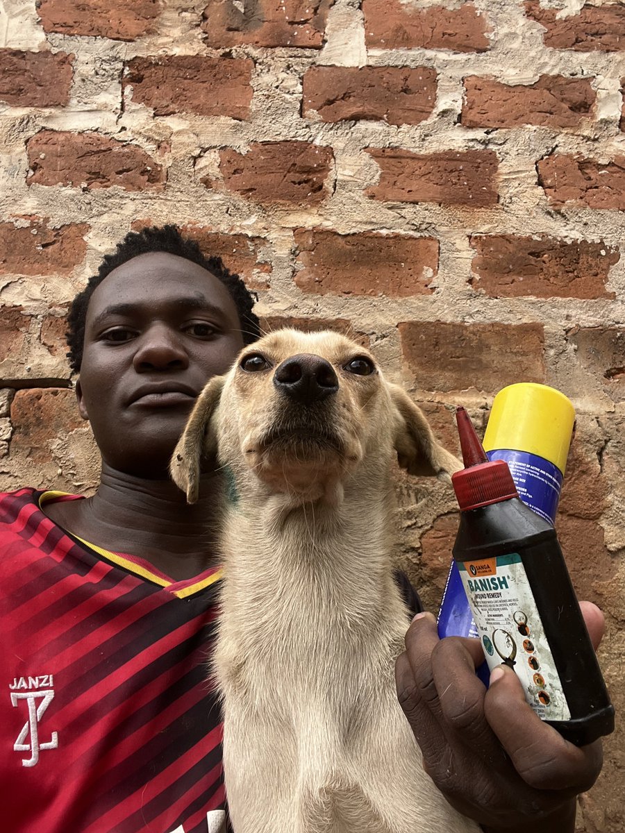 petsrescueUG's tweet photo. Happy Sunday to everyone,it's really still hot confusing challenging situations๐ถ๐ฉwe have just raised $17 since previous 2weeks, white more sick๐คขtoday refused to eat,even getting what to prep them I collect leftovers๐ฅต๐,please make us a glorious Sunday for healing ๐พ#linkinbio https://t.co/ISCVEDlFJt