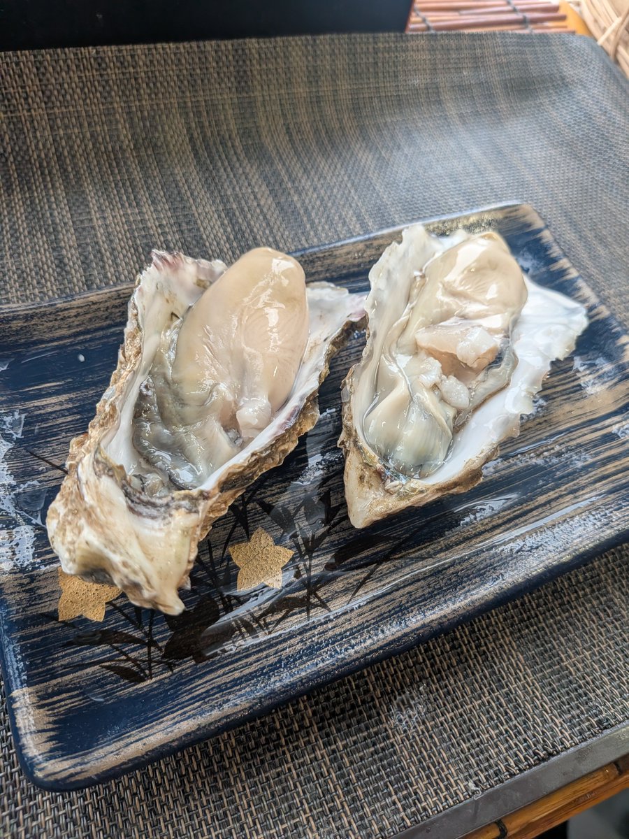 NaBina_77's tweet photo. 連休はパン焼いてスタートして、福島で海鮮丼と牡蠣と蟹と刺身と、あと気になっていたビアードパパの月見シューとか食べて食べまくりエンジョイしてます🥰
美味しい物食べるために生きてる…！！ https://t.co/Yc4Dwf6HyO