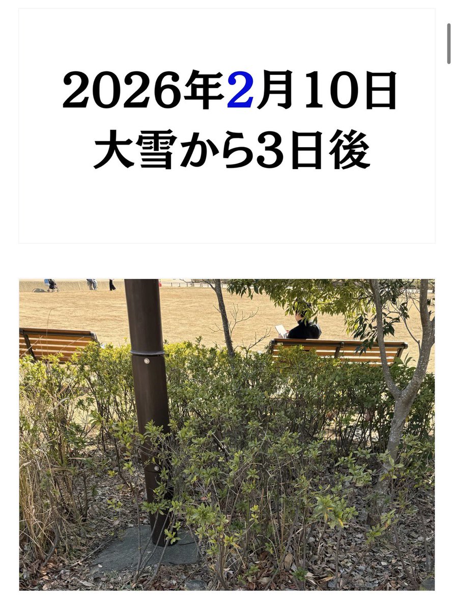 YuuuO's tweet photo. 「冬に雪が溶け残ってた場所は、夏めちゃくちゃ涼しいんじゃない！？」と思い、半年かけて検証しました
https://t.co/VI0lFETIIT https://t.co/RgeebPYRLG