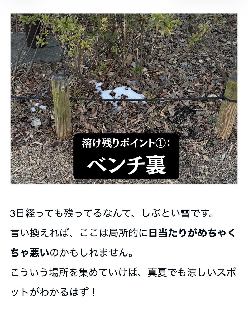 YuuuO's tweet photo. 「冬に雪が溶け残ってた場所は、夏めちゃくちゃ涼しいんじゃない！？」と思い、半年かけて検証しました
https://t.co/VI0lFETIIT https://t.co/RgeebPYRLG