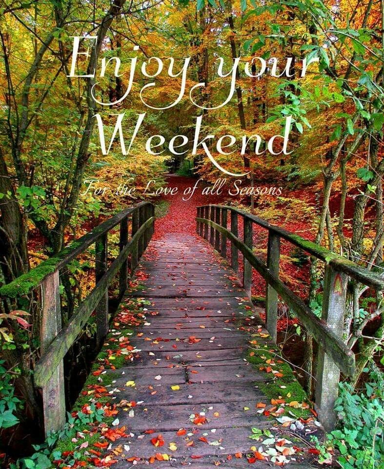 LauraMi25356713's tweet photo. @WidzDj @halconavicencio @sucram_songa @nena_bovb51 @datsyuklover @RiniNB_1046 @oh_laa_laa @xofw9713 @bidge249 @_Ayu_aja @Dj_Widz @Yoen__AR @bdonesem @Mike4best @riaanastasha_ @NikolaDiredja3 @AmeliaVicencio @sucram_pekalen Thank you @WidzDj 👑😎 for the awesome shout 💯

#BROTHERHOOD 🤝 https://t.co/KXhaNoMFXh