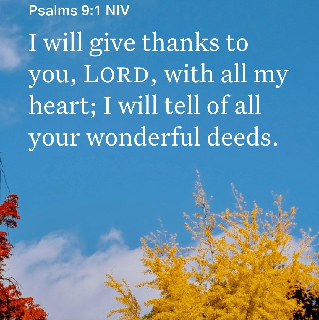 manoftheredeart's tweet photo. #LORD #Jesus #loves #you #Yeshua #yeshuahamashiach #God #Holy #Messiah #Joy #verseoftheday #votd #Truth #Word #words of #life #inspiration #Bible #inspiration #peace #hope #love  #Bibleverse #scripture #Baruch #atah, #Adonai #Eloheinu, #Melech #haolam #kingofkings https://t.co/4m8SRuF1NU