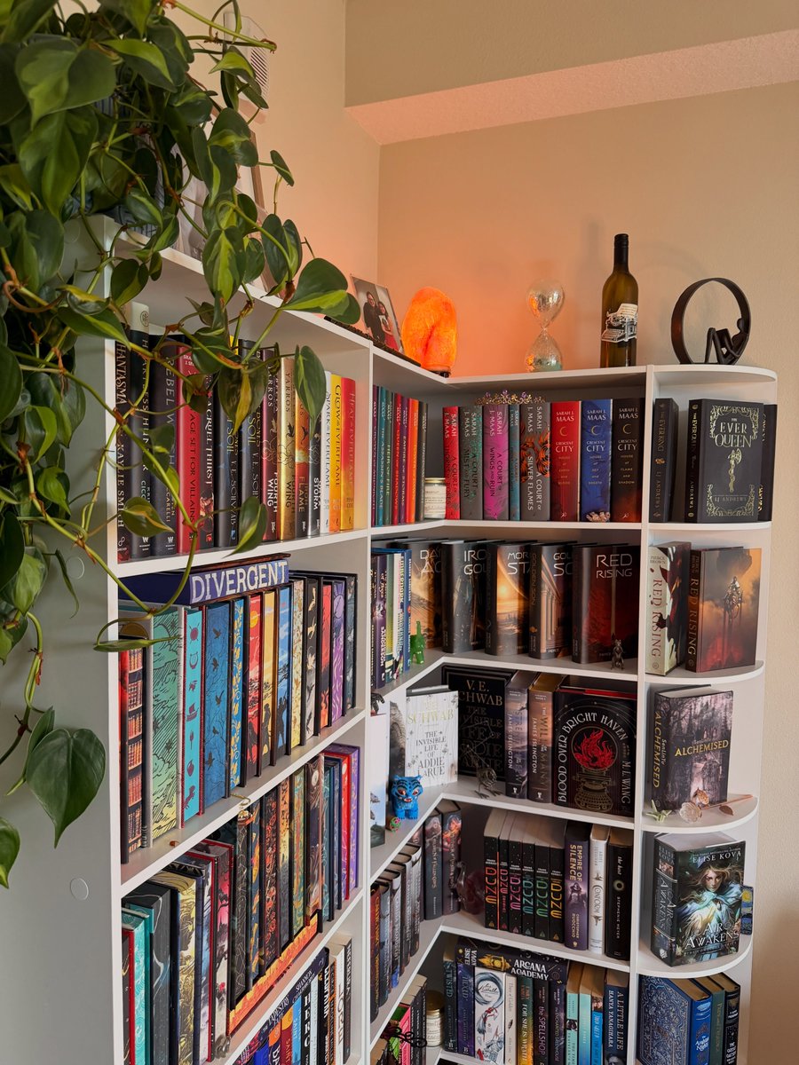 TaliaLorah's tweet photo. Sunday shelfie 📚 https://t.co/Jwi4PVXZ2N