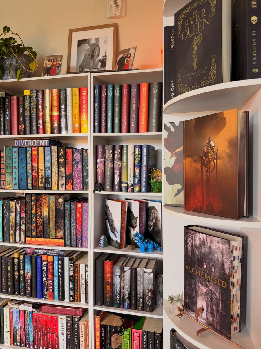 TaliaLorah's tweet photo. Sunday shelfie 📚 https://t.co/Jwi4PVXZ2N