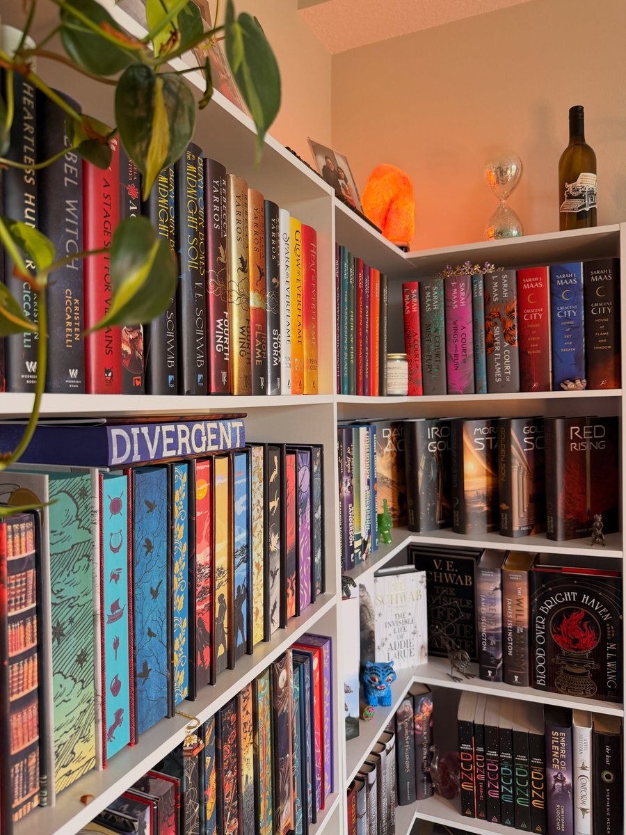 TaliaLorah's tweet photo. Sunday shelfie 📚 https://t.co/Jwi4PVXZ2N