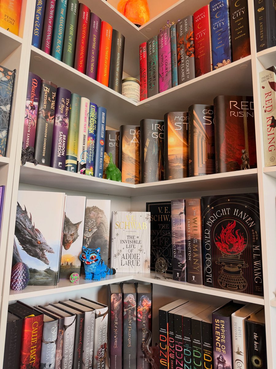 TaliaLorah's tweet photo. Sunday shelfie 📚 https://t.co/Jwi4PVXZ2N