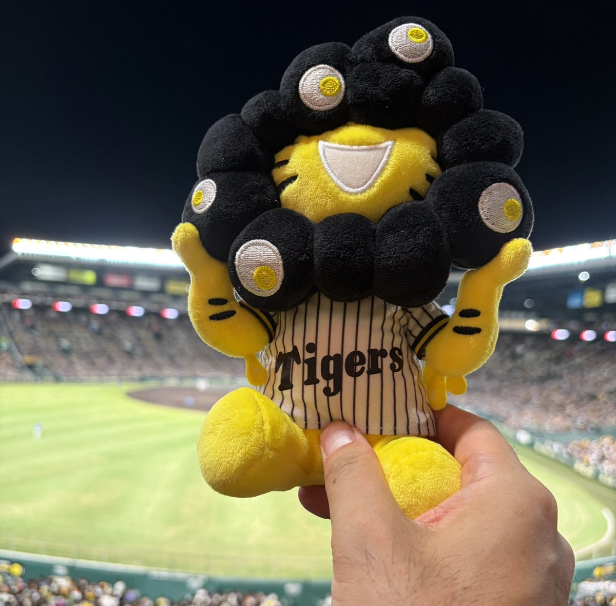 oldkai31's tweet photo. とらほー🐯
マジック自力で減らした🙆
今シーズン現地観戦15勝1敗🏟️

#阪神タイガース https://t.co/J4cyCdeAR1