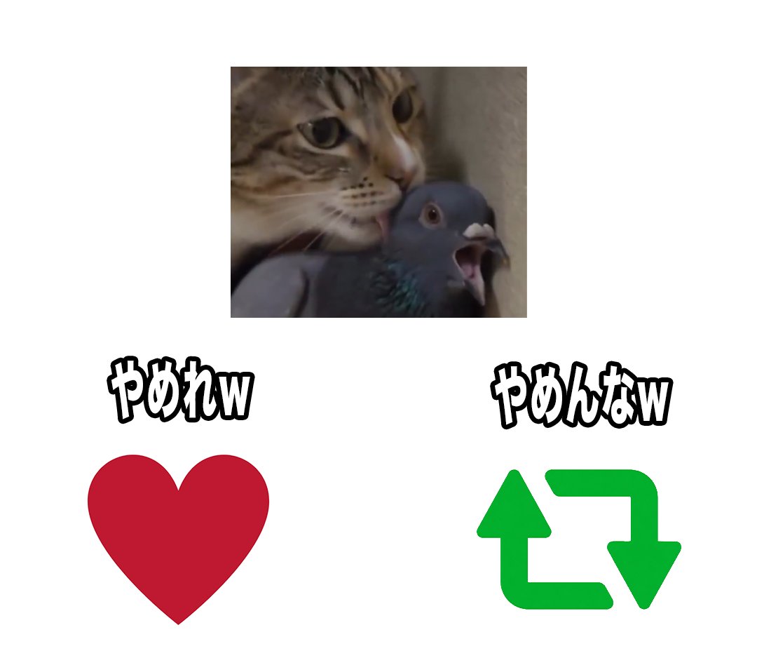 humei_666's tweet photo. 舐めまわす猫🐈
『やめれw』『やめんなw』 https://t.co/N3HaGuNUkX