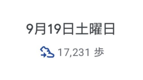 G_RACTIS's tweet photo. この２日間で31,299歩歩いてた😇
距離にして20キロ以上歩いたことになるのか、そりゃ疲れるわ🫠 https://t.co/678I1kArN3