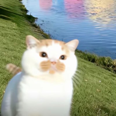sweetpotatsoup's tweet photo. #新头像 https://t.co/T8Q71CW8Ke