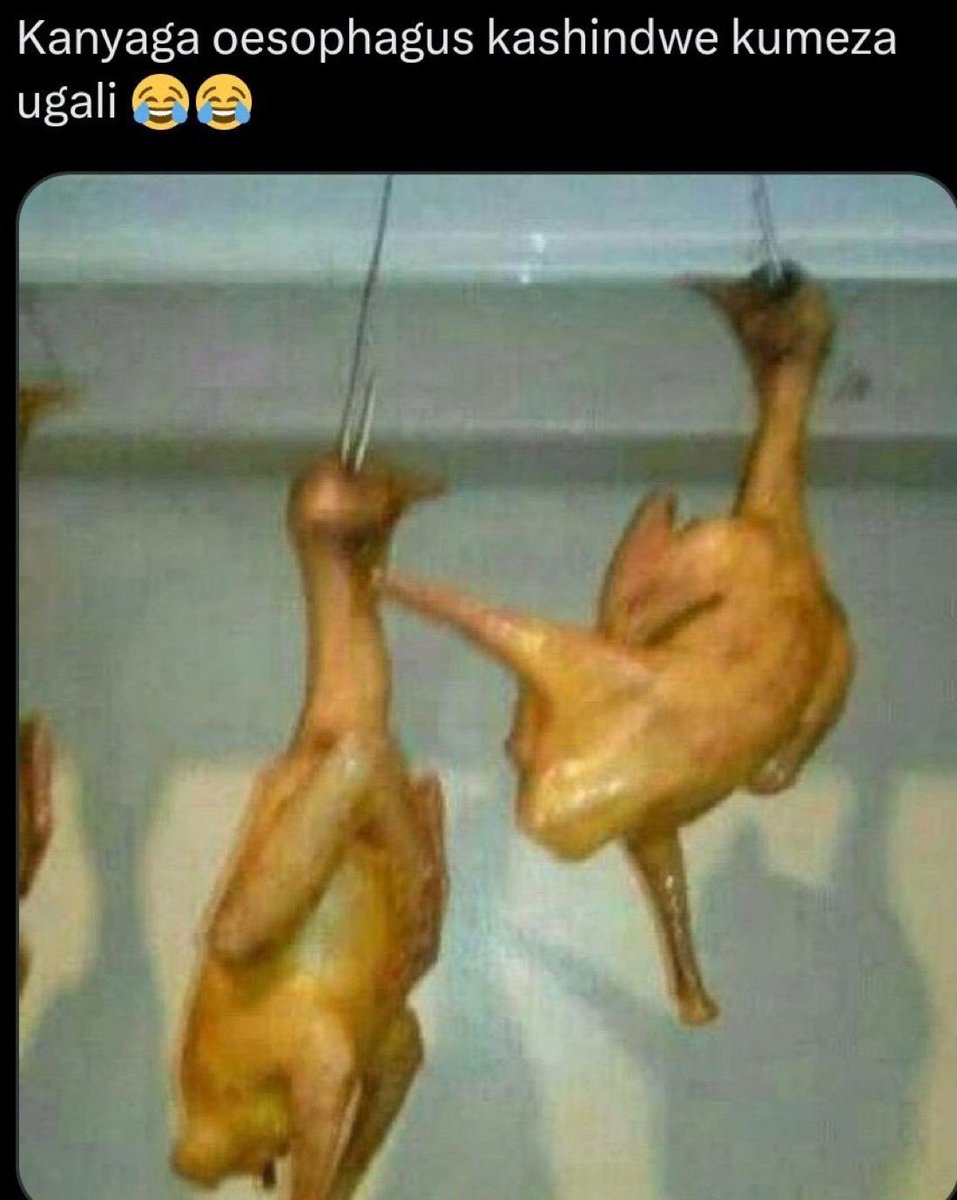 IamDuncan_'s tweet photo. @Kibet_bull Shwa shwa..finya yeye kabisa hapo kwa corner https://t.co/NyP16jz3AO