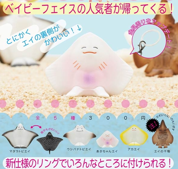 gachaxpompom's tweet photo. 『エイの裏側かわいい マーカーチャーム』10月発売予定。
ベイビーフェイスの人気者が帰ってくる！ 
https://t.co/L1Qx1cjFDy https://t.co/Qgc79UrNFZ